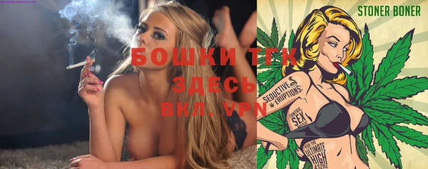 прущая мука Няндома