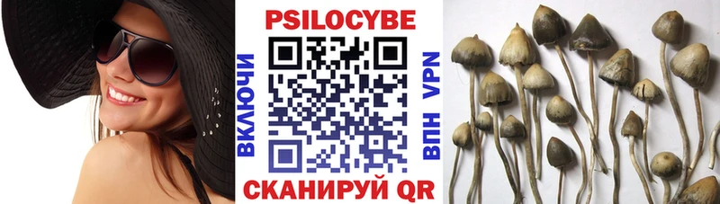 Галлюциногенные грибы прущие грибы  магазин    Камышин 