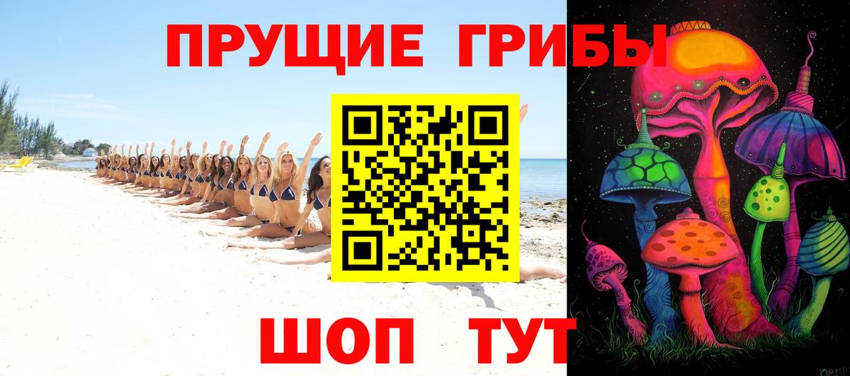 Псилоцибиновые грибы Psilocybe Камышин