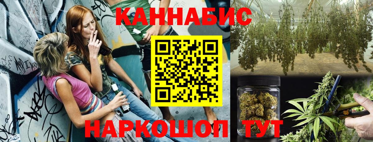 Шишки марихуана OG Kush  Вход с VPN  Камышин  Шишки марихуана Ganja 